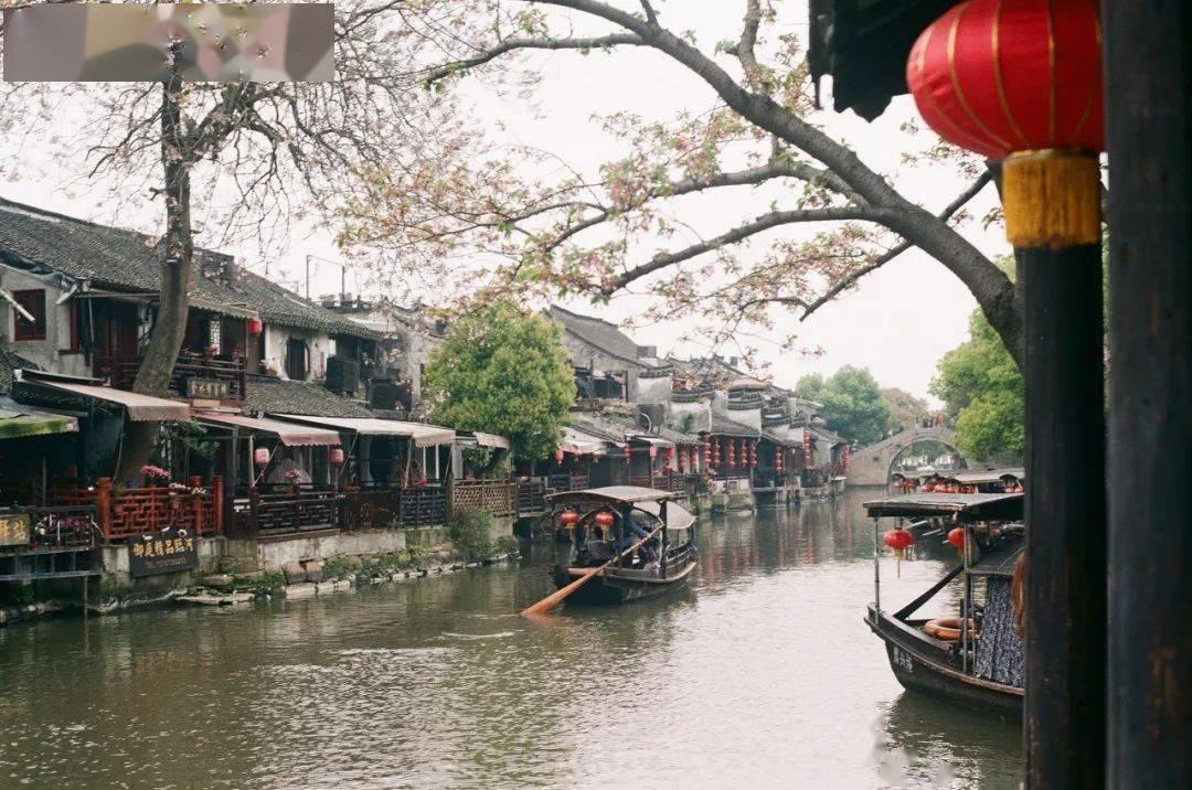 这道题的解题步骤是什么？